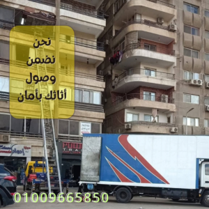 شركات نقل اثاث فى دكرنس