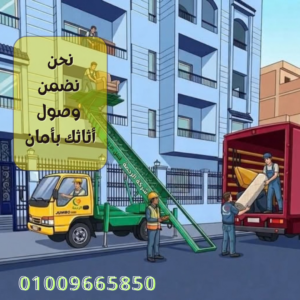 ونش رفع اثاث فى دكرنس